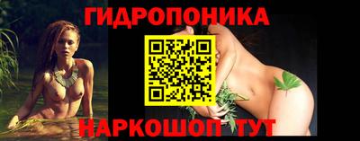 прущие крисы Краснознаменск