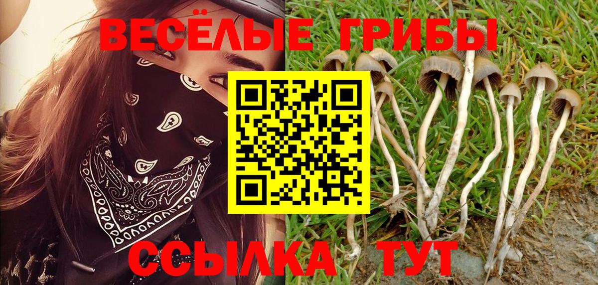 Псилоцибиновые грибы ЛСД  Вход с VPN  Изобильный 